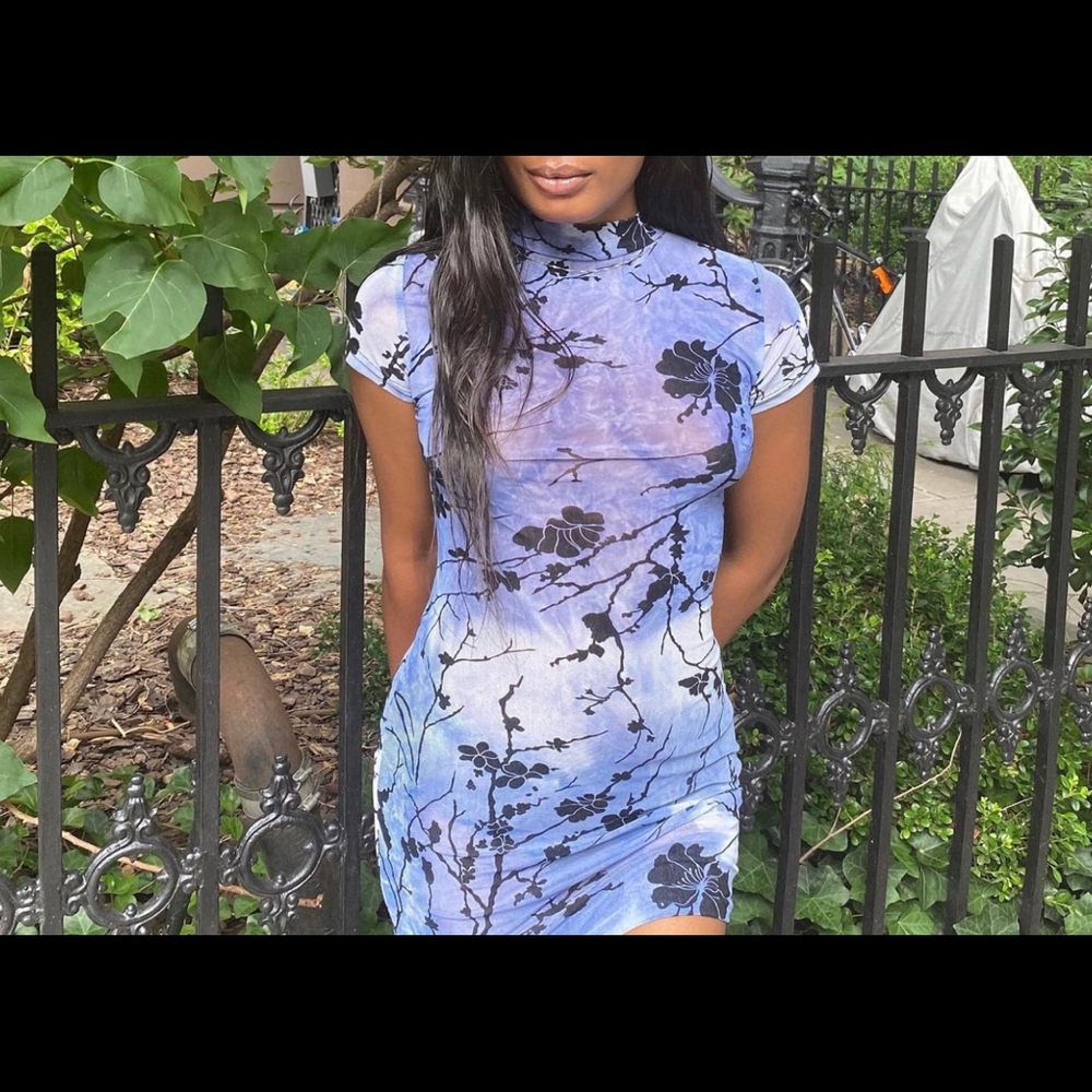 Sheer Flower Print Dress